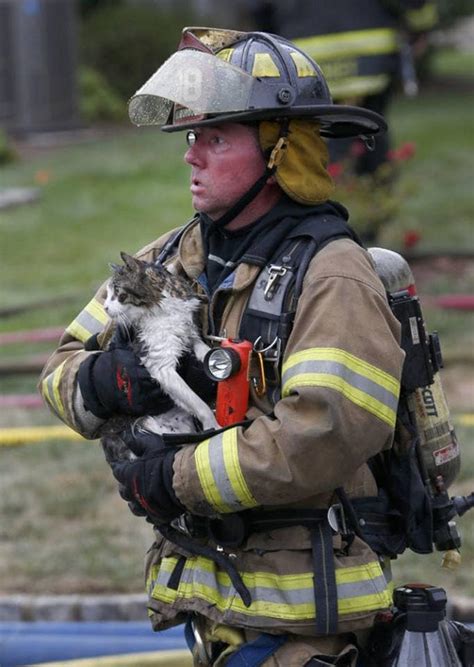 chanel 5 cat fire rescue|firefighters rescue cat.